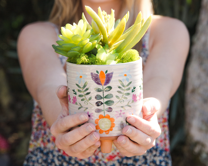 Model holding white planter with succulents inside. Planter is painted with folky floral elements.